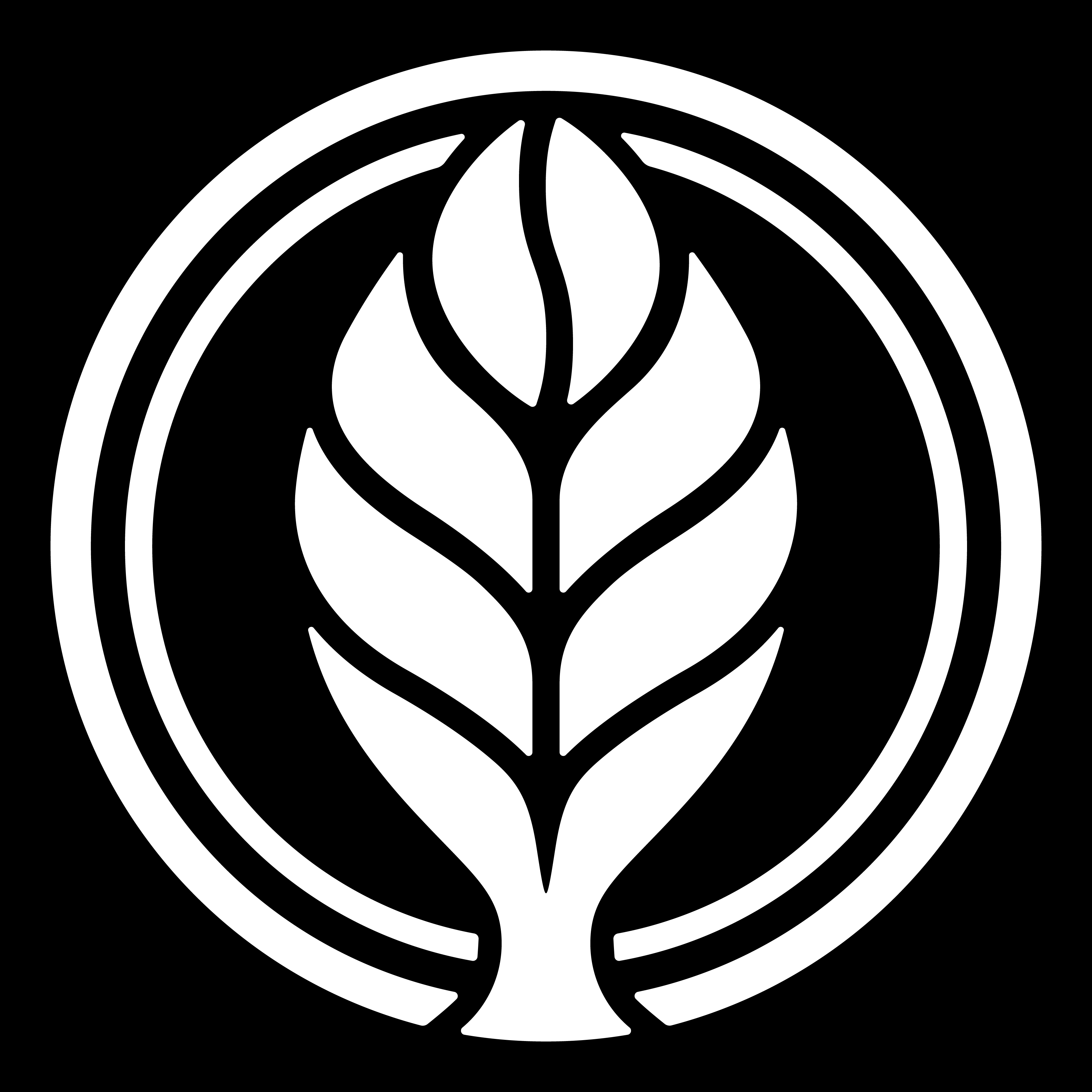 Black Elm Coffee